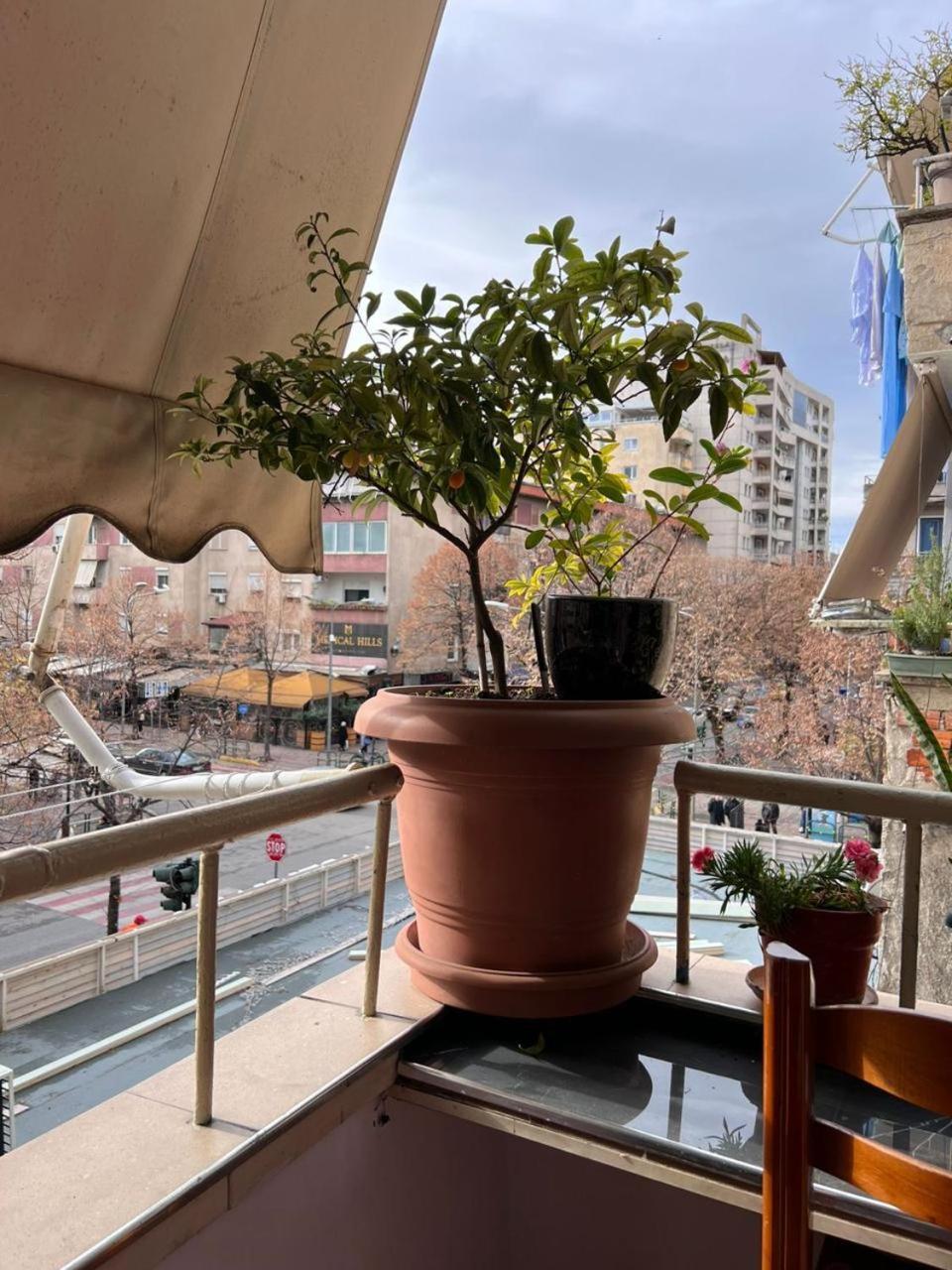 3M Urban Stay Tirana Exterior foto